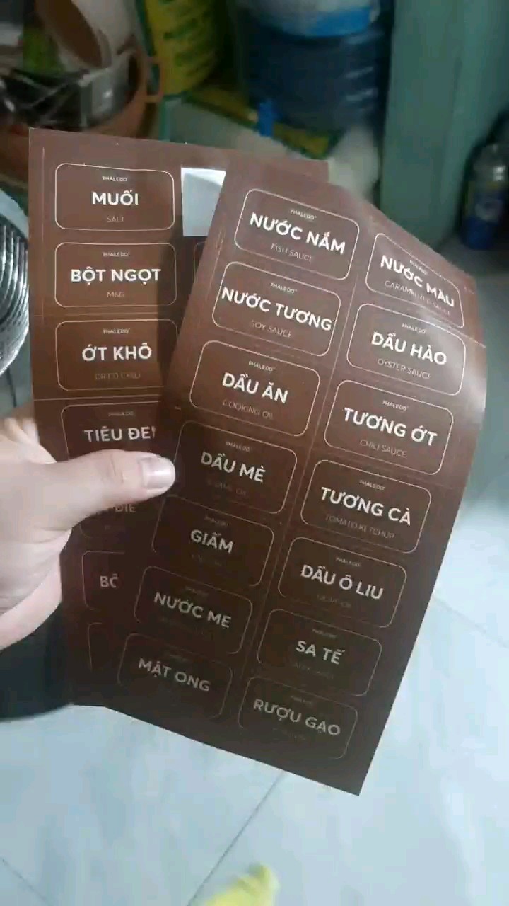 Video đánh giá