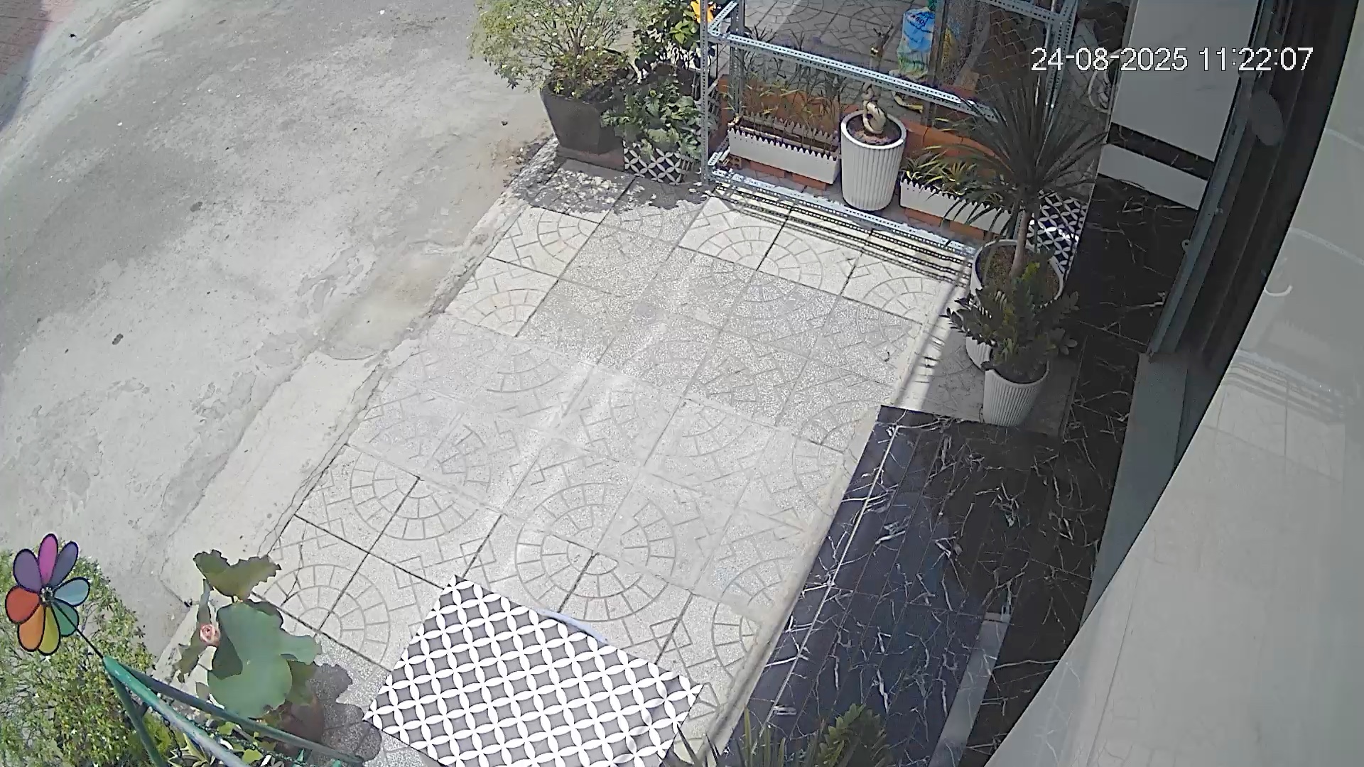 Video đánh giá