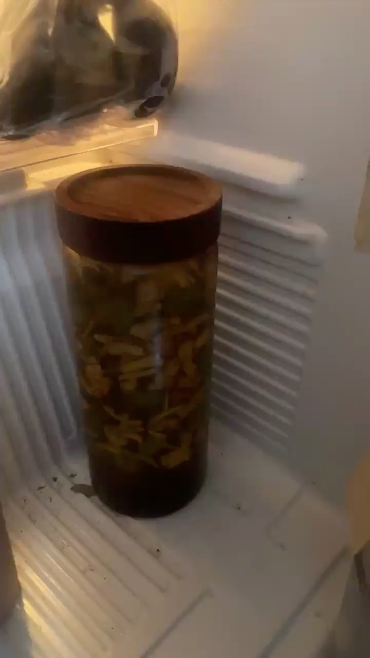 Video đánh giá