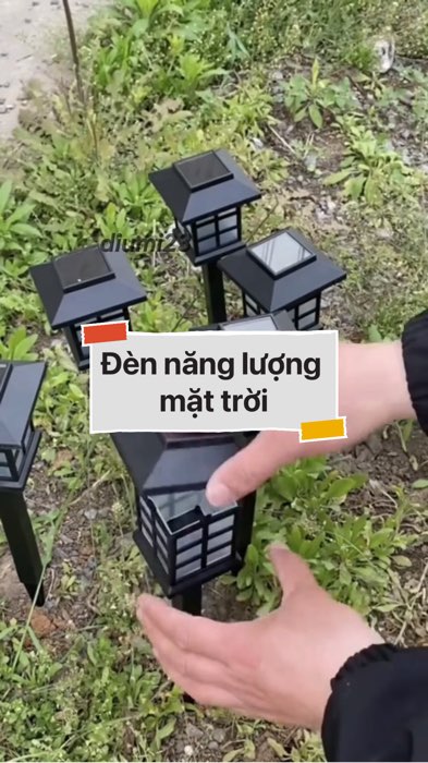 Đèn năng lượng mặt trời trang trí sân vườn #VideohangDoiSong#shopeestyle#ShopeeVideo#ShopeeCreator #LuotVuiMuaLien#KOLUyTin#Videomuasam #diumi927