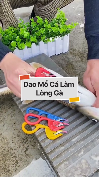 Dao Mổ Cá Làm Lòng Gà