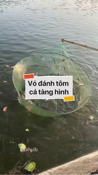 Vó đánh bắt tôm cá tàng hình #VideohangDoiSong#ShopeeVideo#ShopeeCreator #LuotVuiMuaLien#KOLUyTin#Videomuasam #SandealcungKOL #diumi637