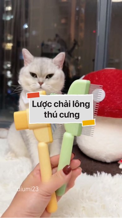 Lược chải lông thú cưng #VideohangDoiSong#ShopeeVideo#ShopeeCreator #LuotVuiMuaLien#KOLUyTin#Videomuasam #SandealcungKOL #diumi678