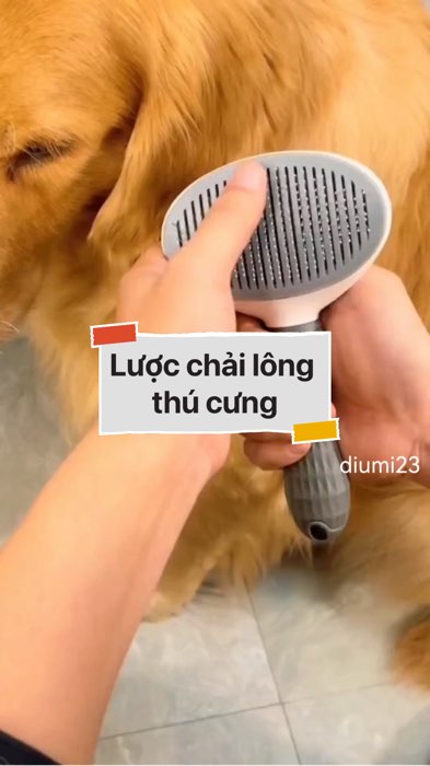 Lược chải lông thú cưng #VideohangDoiSong#ShopeeVideo#ShopeeCreator #LuotVuiMuaLien#KOLUyTin#Videomuasam #SandealcungKOL #diumi680