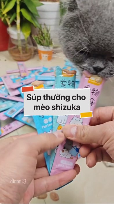 ￼Súp thưởng cho mèo shizuka #VideohangTieuDung #shopeestyle#ShopeeVideo#ShopeeCreator #LuotVuiMuaLien#KOLUyTin#Videomuasam #SandealcungKOL #diumi689