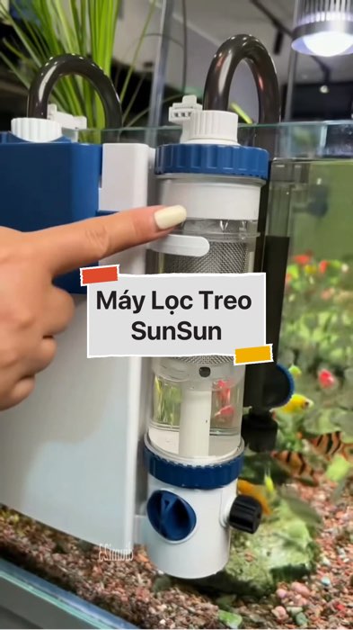 ￼Máy Lọc Treo SunSun #VideohangDoiSong#ShopeeVideo#ShopeeCreator #LuotVuiMuaLien#KOLUyTin#Videomuasam #SandealcungKOL #diumi281