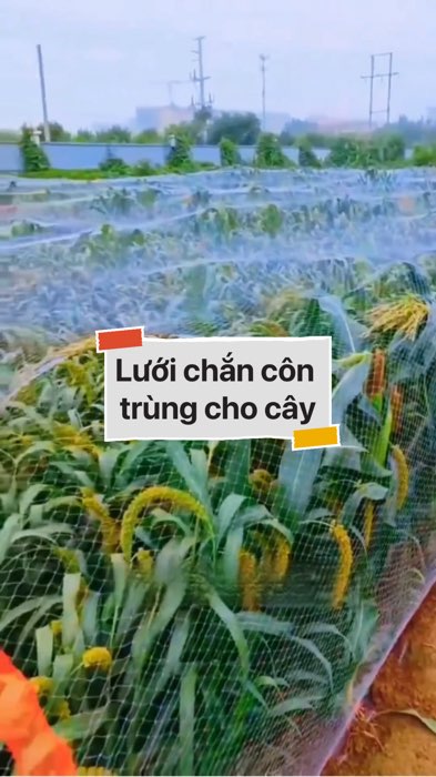 Lưới chắn côn trùng bảo vệ cây trồng #VideohangDoiSong#ShopeeVideo#ShopeeCreator #LuotVuiMuaLien#KOLUyTin#Videomuasam #SandealcungKOL #diumi306