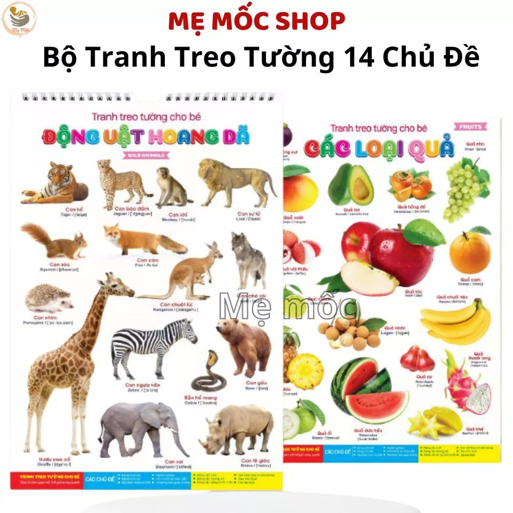 Tranh Treo Tường Cho Bé Học Về Thế Giới Xung Quanh Bộ 14 Chủ Đề Đa Dạng Song Ngữ Giúp Bé Học Tập
